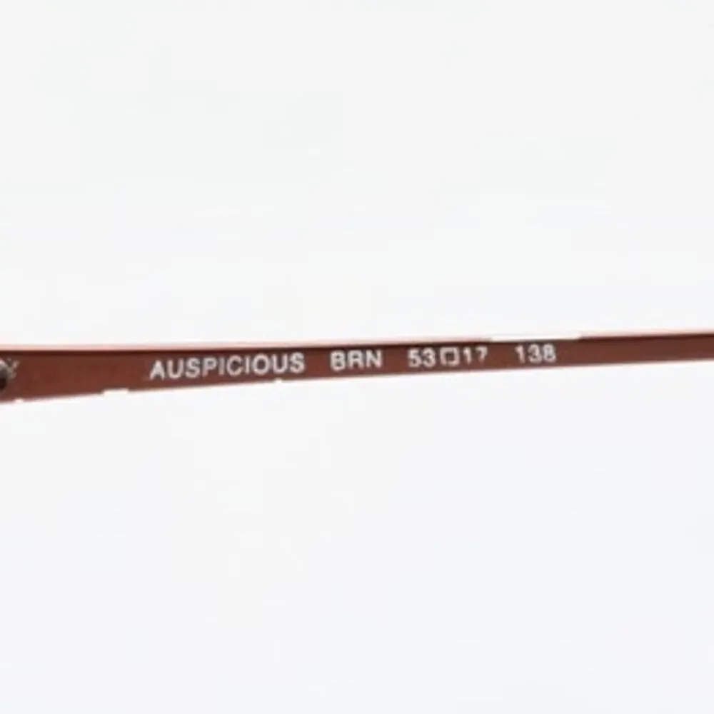 Christie Brinkley Auspicious BRN 53-17-138 Eyeglass FRAMES ONLY - GOOD CONDITION